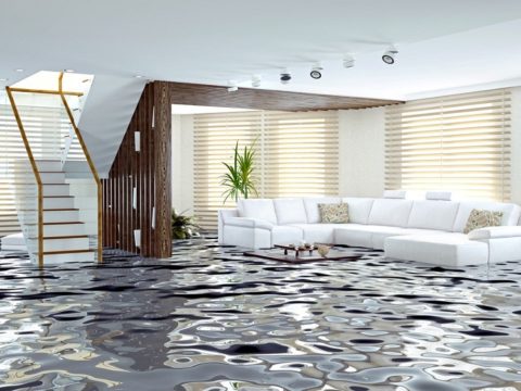 Benefits of Hiring Professional Fire and Water Damage Restoration Companies