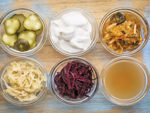 What is the role of probiotics in gut health?